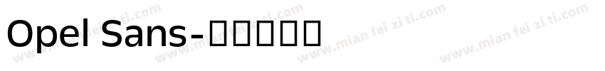 Opel Sans字体转换